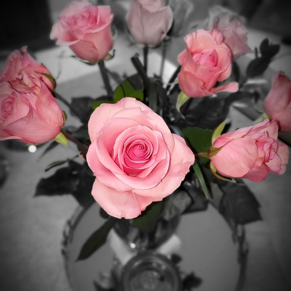 Meet your Posher, Joeanne